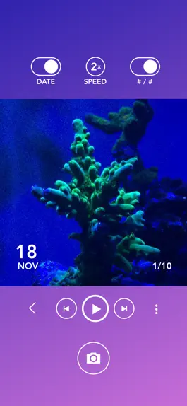 Game screenshot Aquarium Time hack