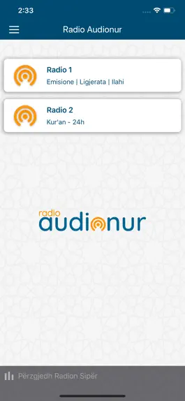Game screenshot Radio Audionur hack