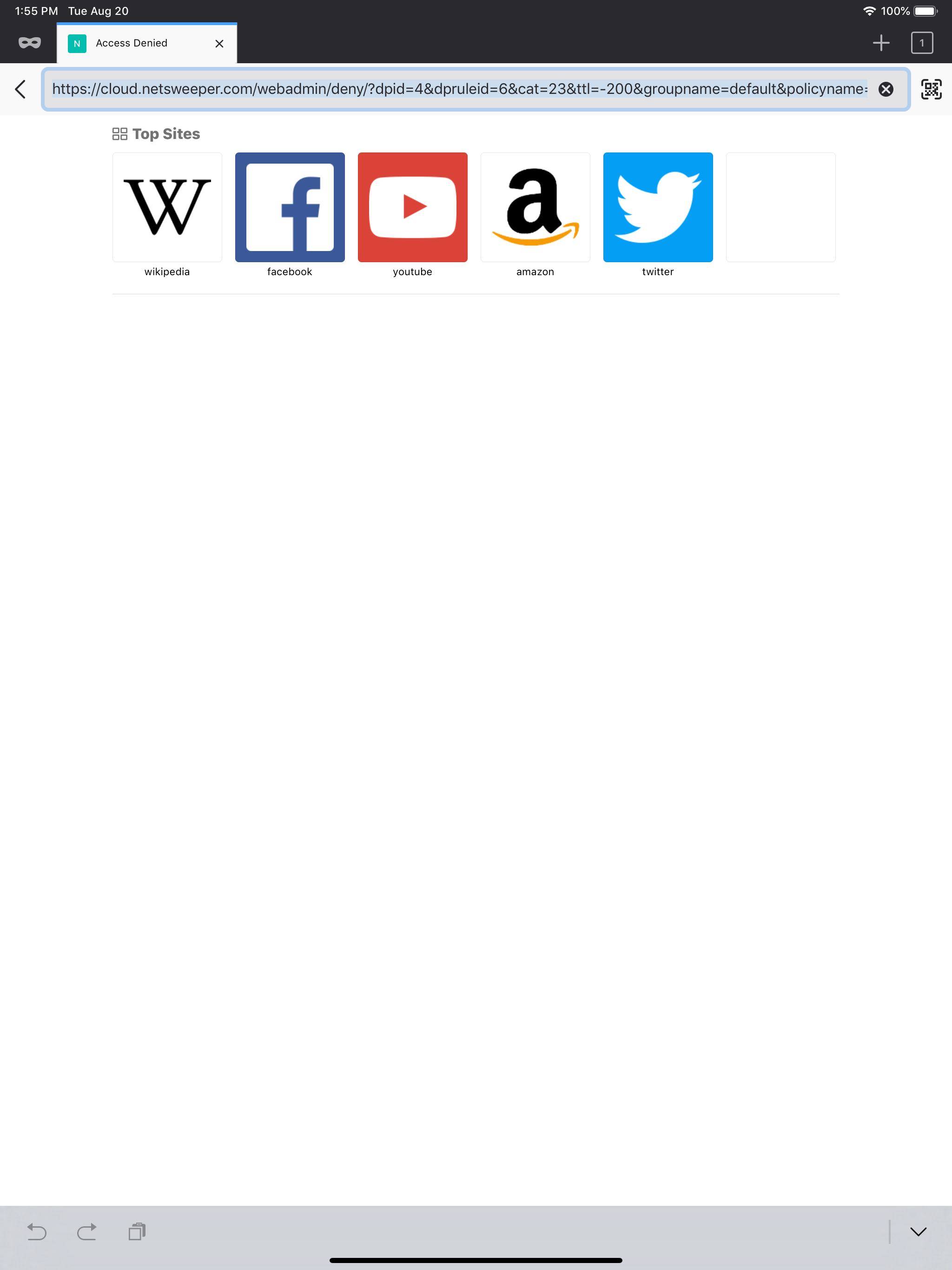 Netsweeper Client Filter screenshot 6