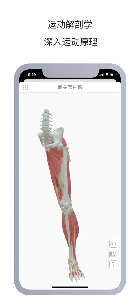 运动解剖