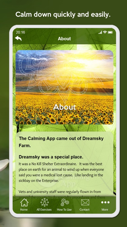 The Calming App screenshot-3