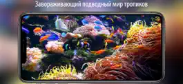Game screenshot Аквариум HD + apk