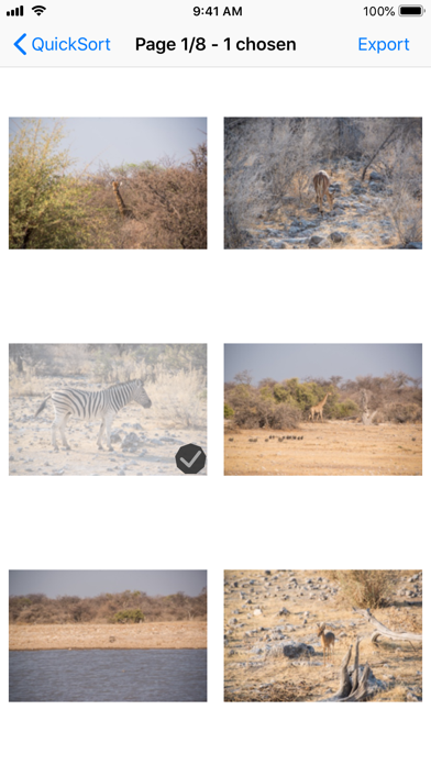 Screenshot #3 pour QuickSort - Sort Your Photos