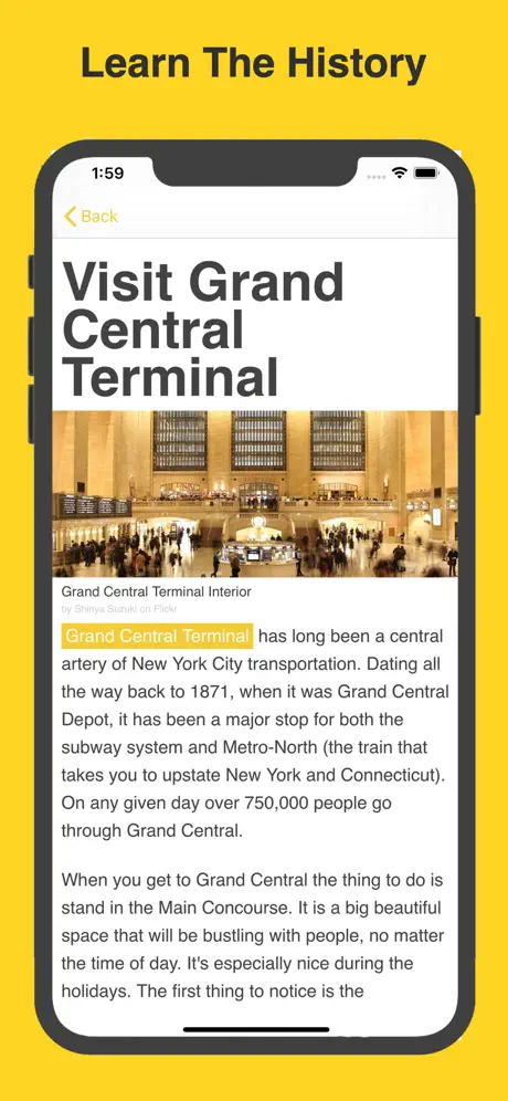 Obvious NYC ~ Travel Guide