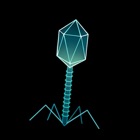 CRISPR Defense
