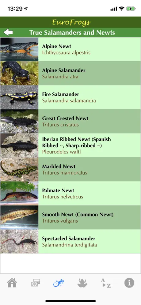 EuroFrogs
