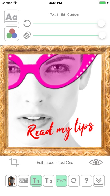 photo-meme screenshot-5