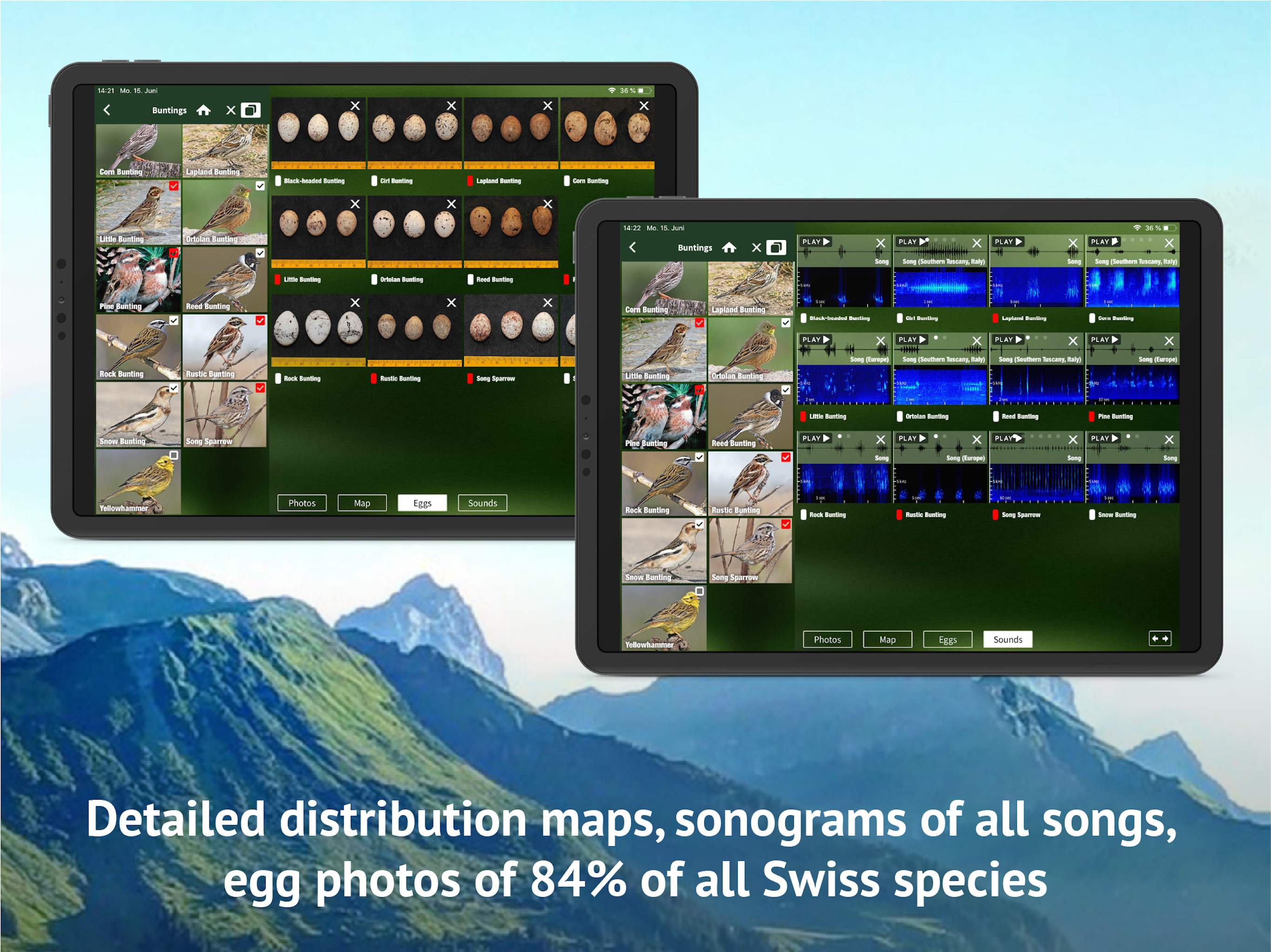 All birds CH - photo guide