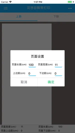 花想容飘带打印 screenshot 2