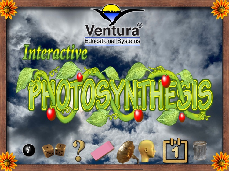 Interactive Photosynthesis