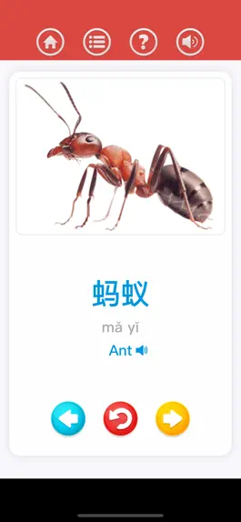Game screenshot Chinese for beginner apk