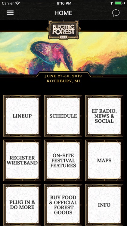 Electric Forest Festival