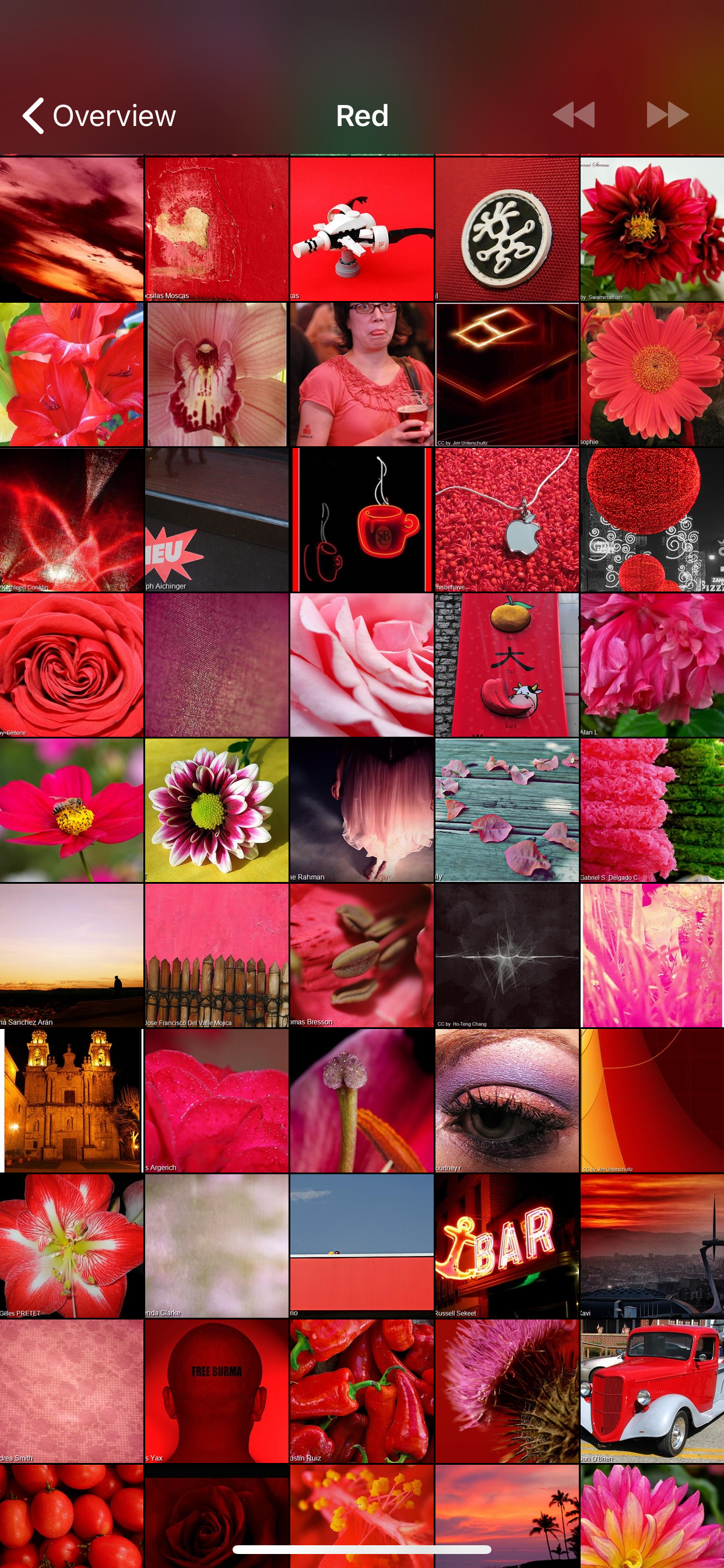 Deep Photo Analyzer with AI