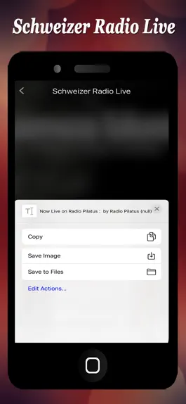 Game screenshot Schweizer Radio Live hack