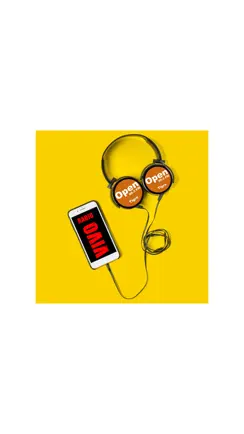 Open Radio 99.3 iPhone image 1