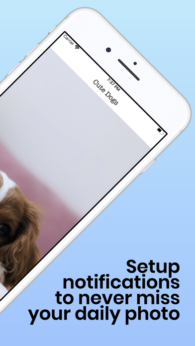 Daily Cute Dogs Photos Screenshot