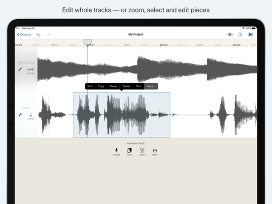 Screenshot #5 pour Hokusai Audio Editor