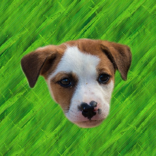 Cute Puppy - Stickers iOS App