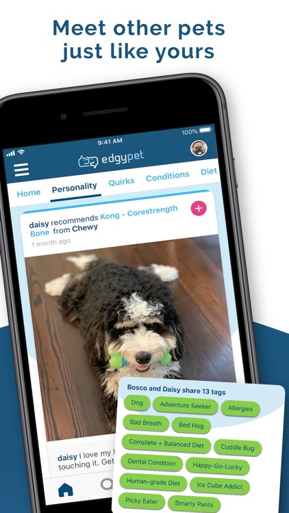 EdgyPet: Pet Social Network