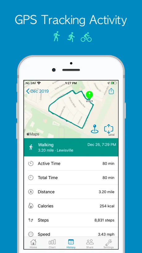 Accupedo Pedometer