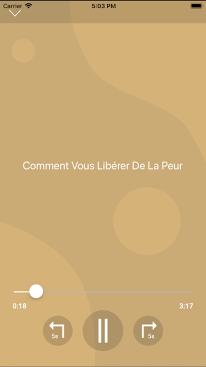 Carnet De Vie screenshot-5