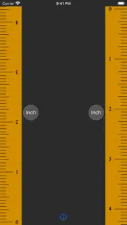 measure ruler - length scale iphone screenshot 4