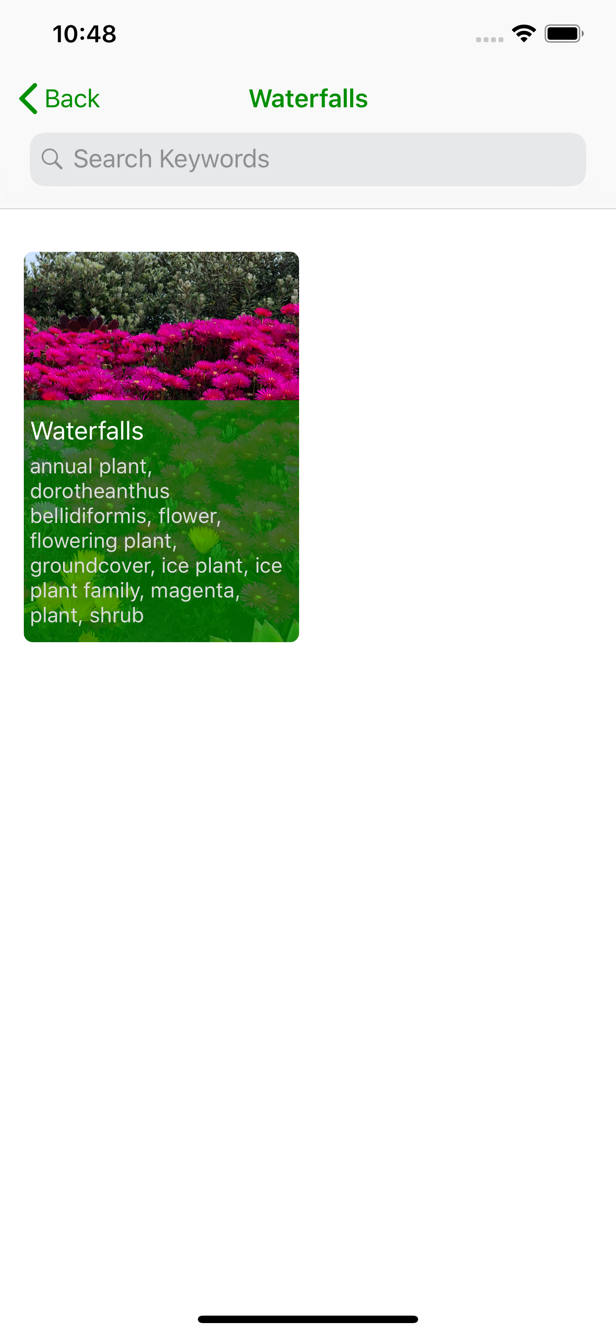 Image Tagger