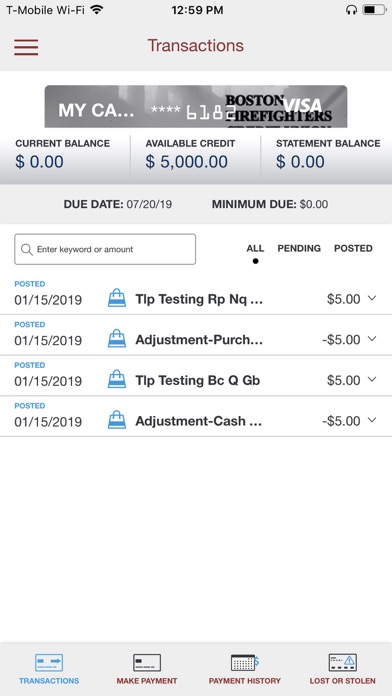 BFCU Visa Screenshot