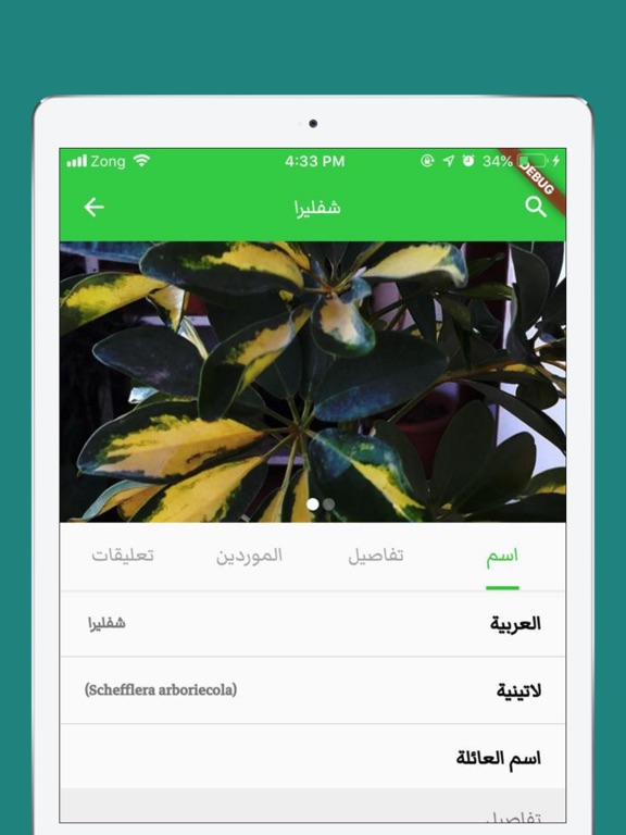 Screenshot #6 pour Kingdom Plants