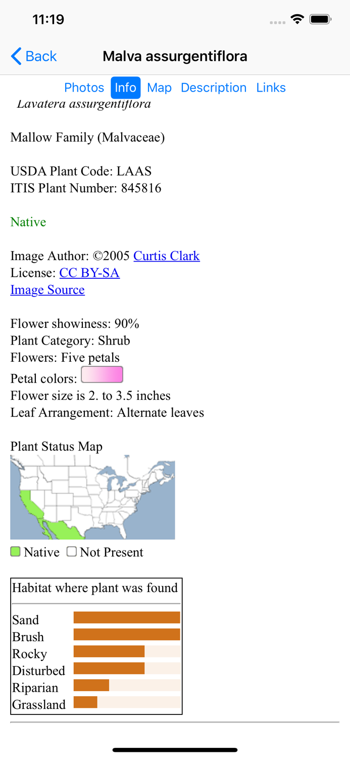 SF Bay Area Wildflowers