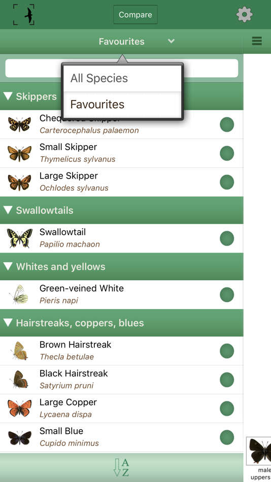 #5. British & Irish Butterflies (iOS) 由: NatureGuides Ltd.
