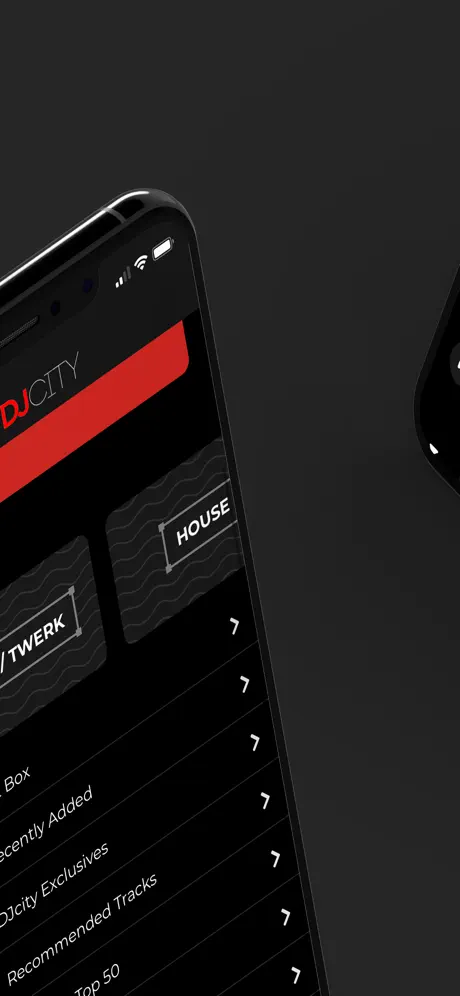 DJcity
