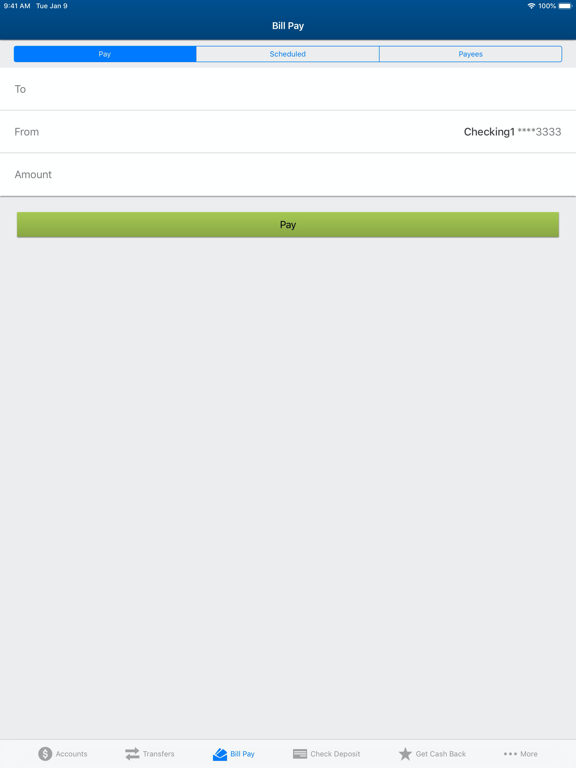 The Summit FCU iPad screenshot 5 - Finance app