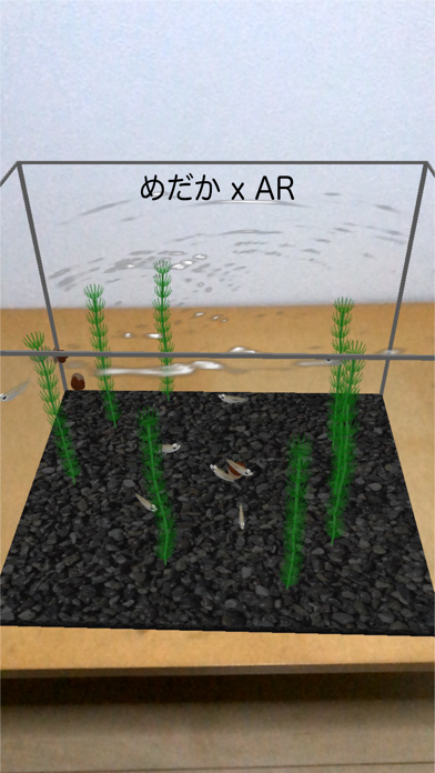 めだか AR/VRのおすすめ画像2