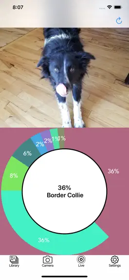 Game screenshot Dog Breed AI Classifier mod apk