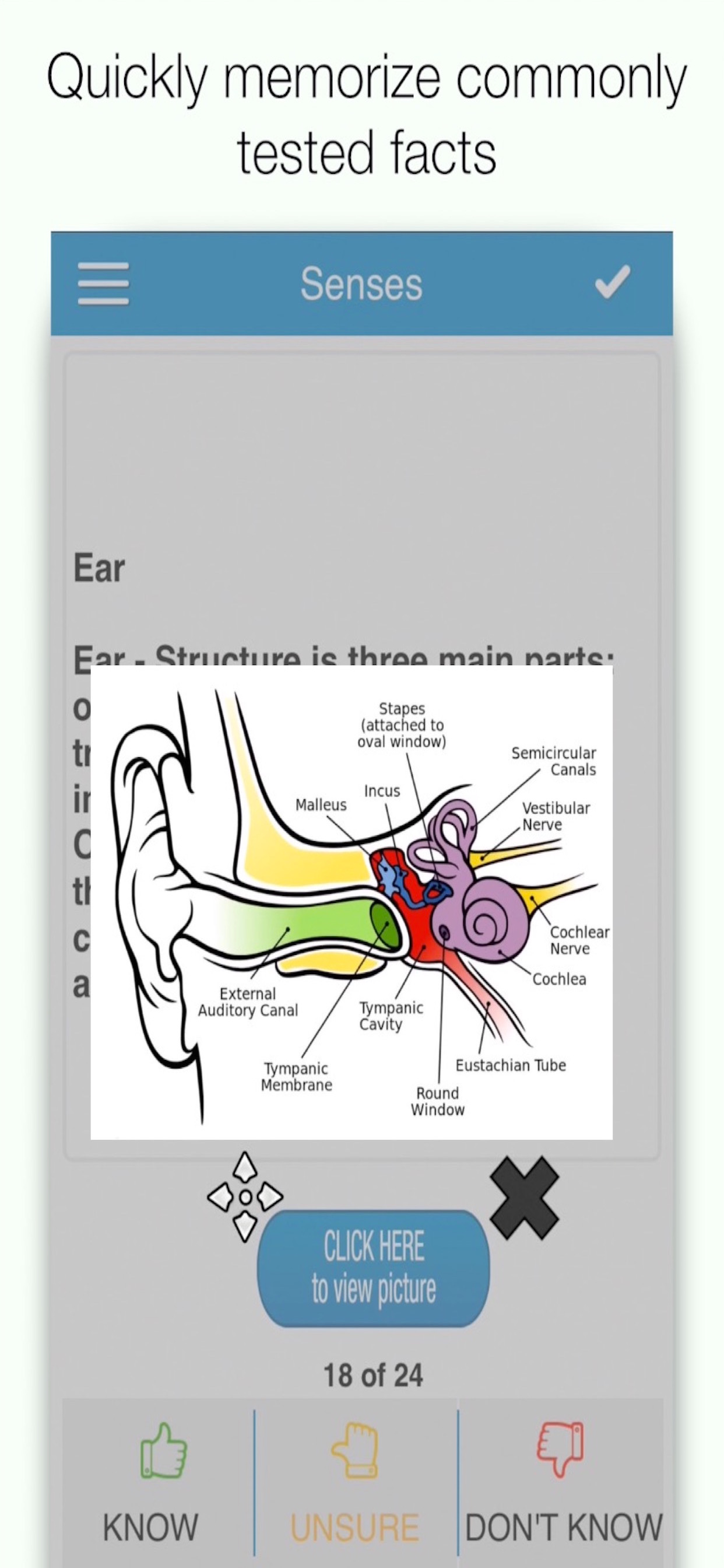 PCAT Biology Cram Cards