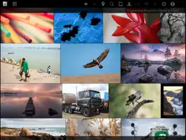 Game screenshot Galleryr for Flickr mod apk