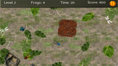 Screenshot #3 pour Baby Frogs