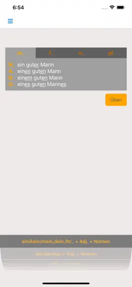 Game screenshot German Adjective Endings mod apk