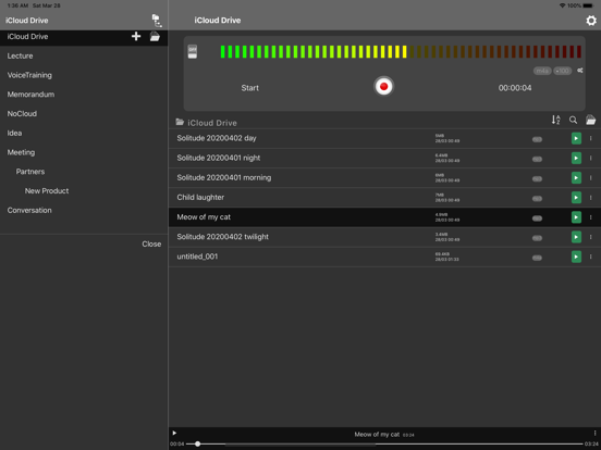 Quick Recorder - Voice Memo iPad screenshot 4 - Productivity app