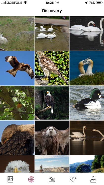 Pikme - Share your life story screenshot-6