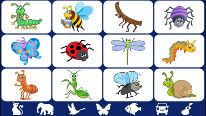 Video Touch - Bugs & Insects Screenshot 1