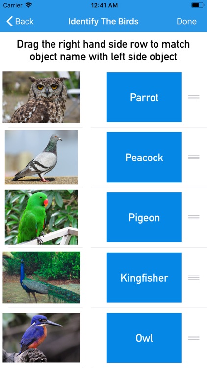 Identify The Birds screenshot-3