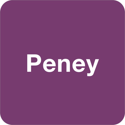 Платежный портал Peney.net