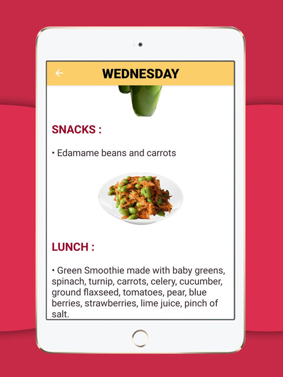 Diet Plan Weight Loss iPad screenshot