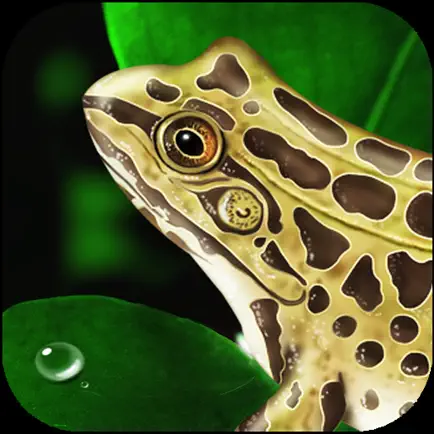 Frog Dissection Cheats