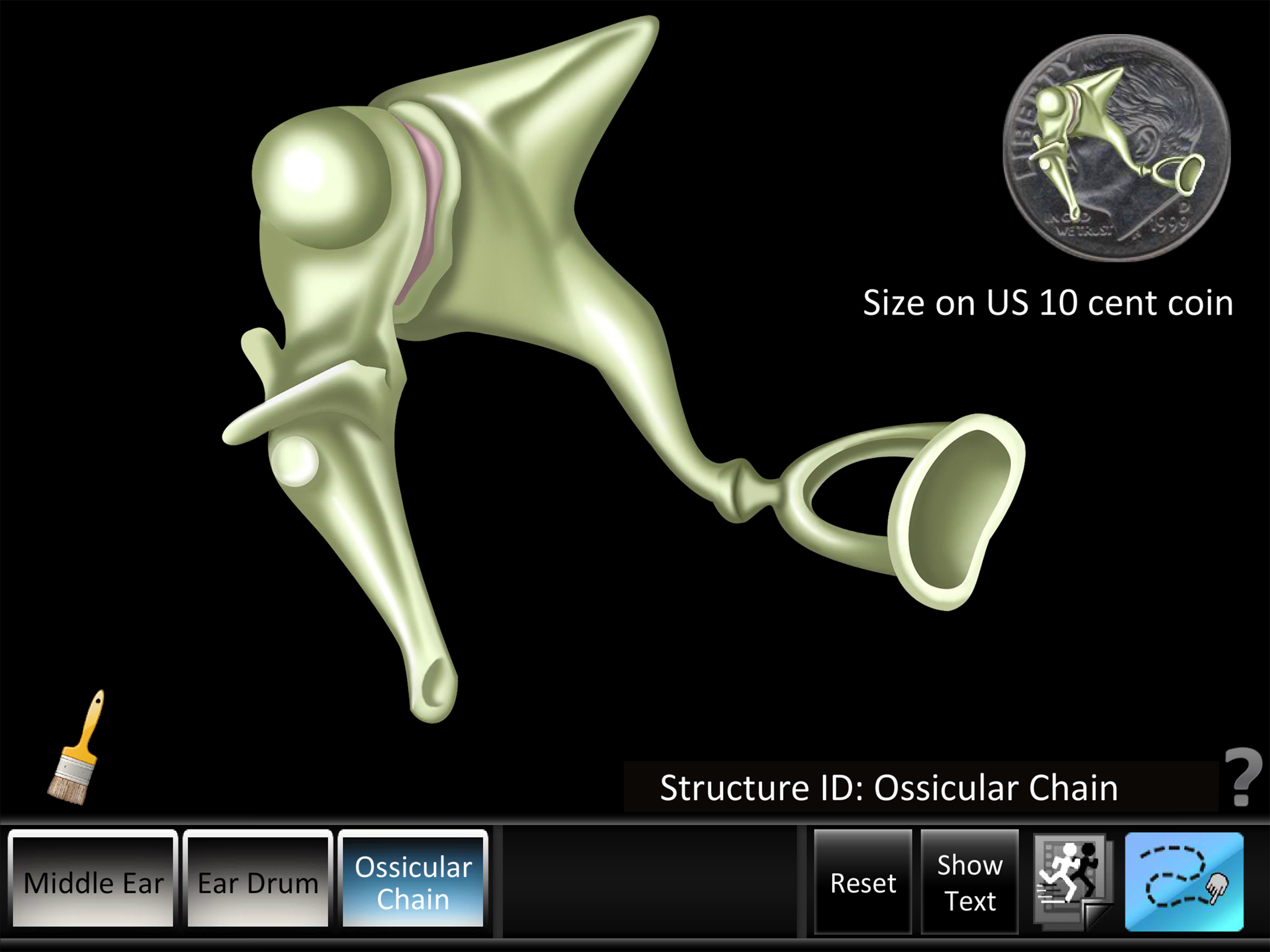 Middle Ear ID screenshot 7