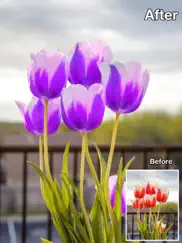 color changer-coloring editor айпад изображения 3