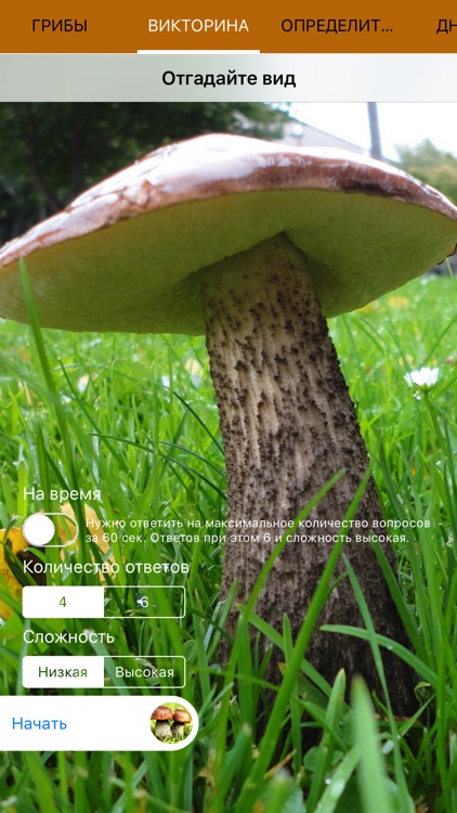 Экогид - Грибы screenshot-3