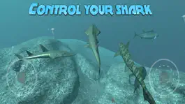 Game screenshot Real Shark Simulator mod apk